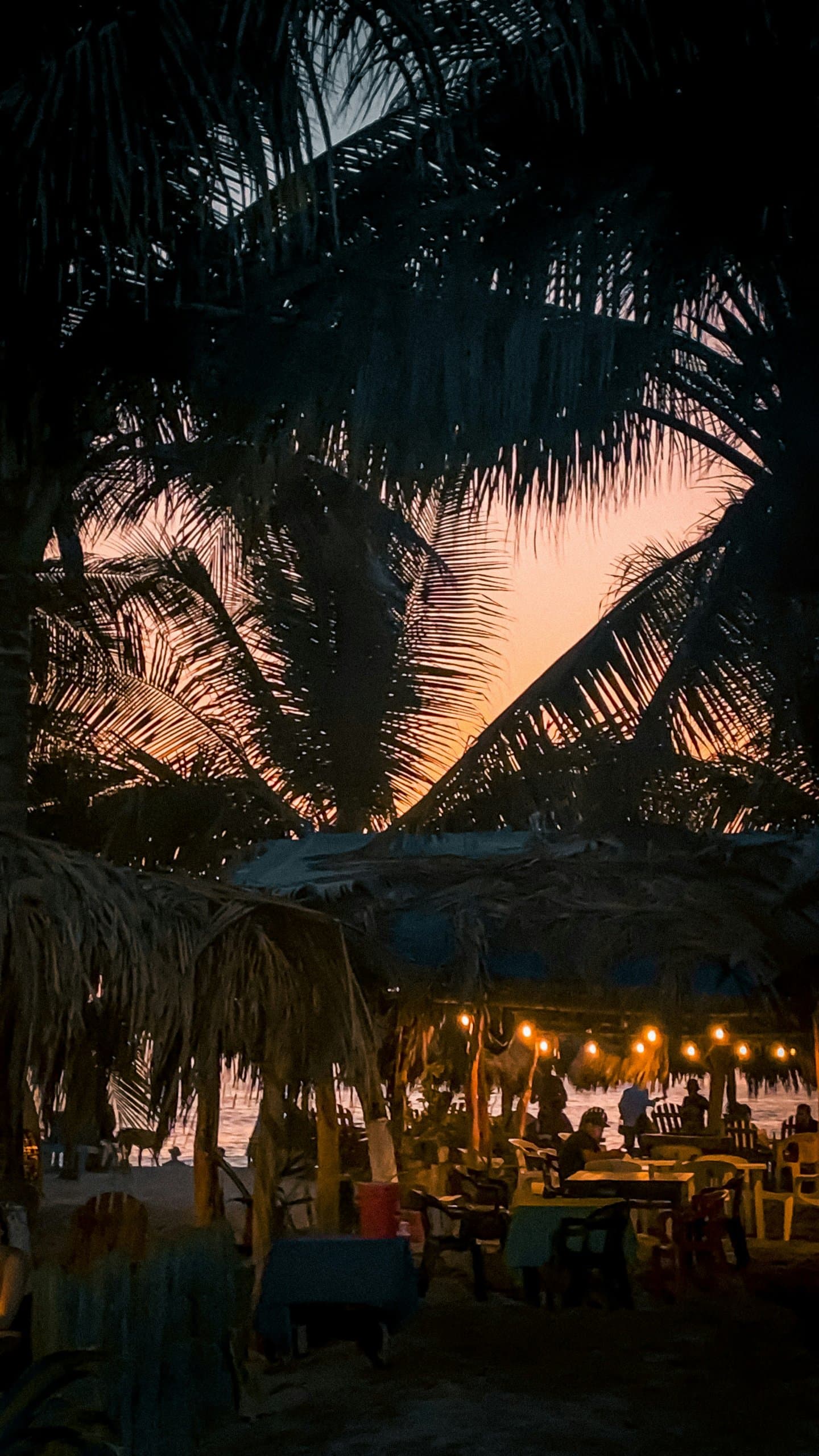 Palapas iluminadas bajo las palmeras al anochecer en Puerto Escondido